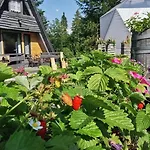 Osada Pod Beskidem- Chatki Całoroczne Domek letniskowy *