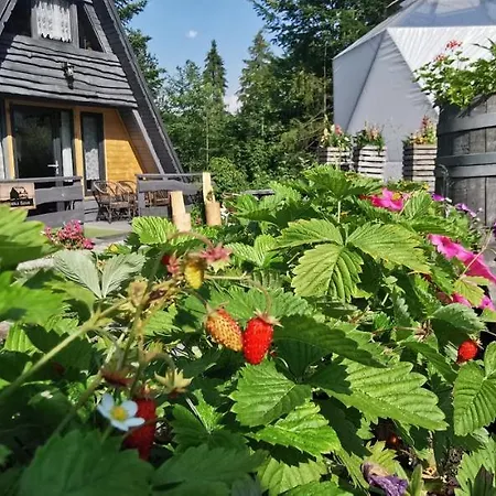 Osada Pod Beskidem- Chatki Caloroczne Lodge *