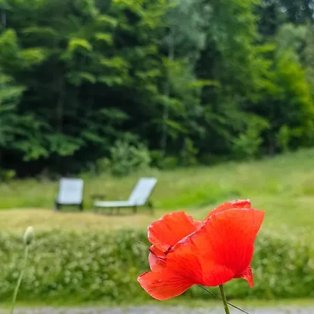 Osada Pod Beskidem- Chatki Caloroczne * 什切尔克